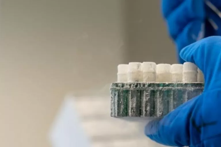 Biobank cryo samples