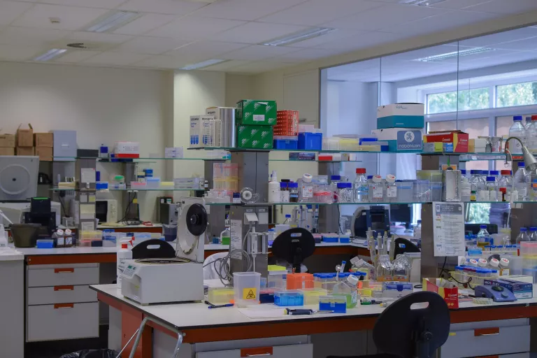 lab