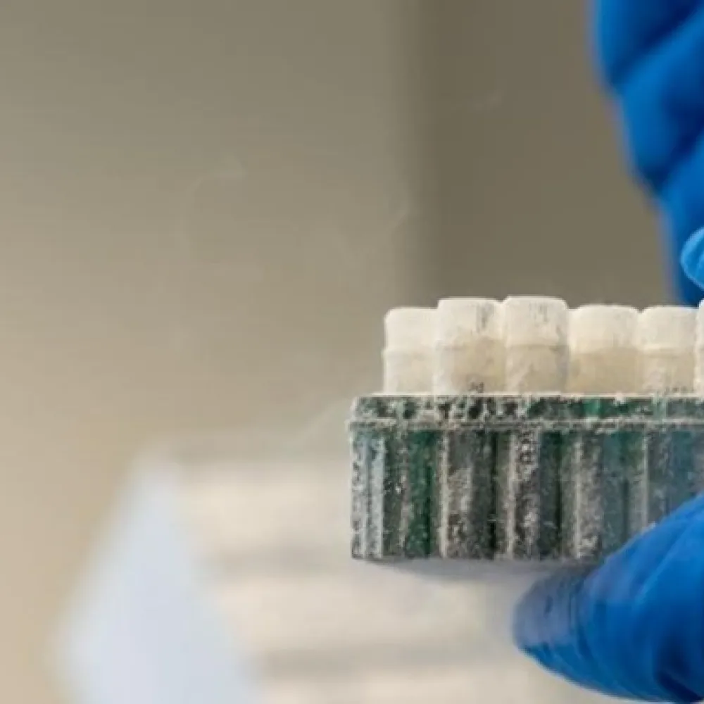 Biobank cryo samples