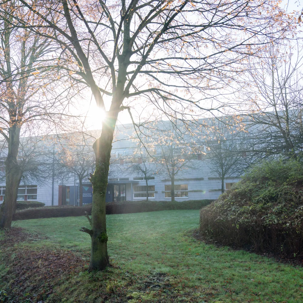 VIB-UAntwerp Center for Molecular Neurology
