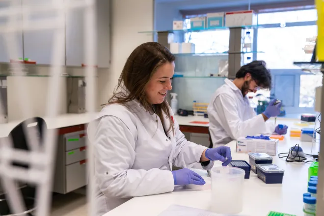 Lab