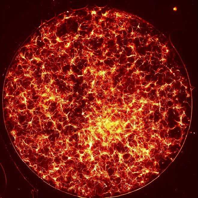 Solar storm