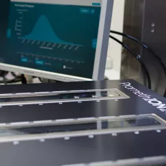 seq 